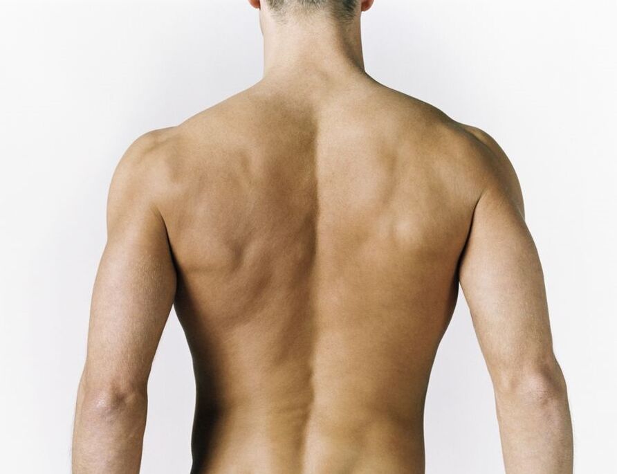 Entzündung der Rückenmuskulatur als Ursache für Schmerzen zwischen den Schulterblättern